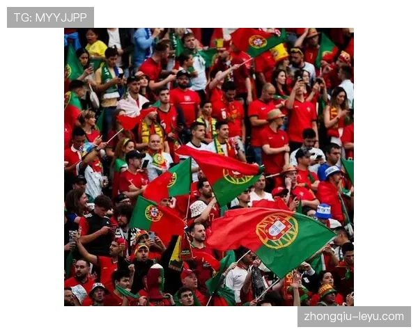 欧洲杯冠军奖金激增，催生体育投资新热点