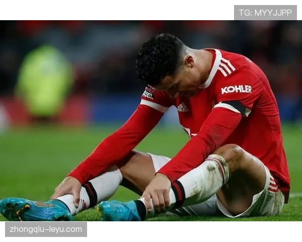 维罗纳攻防转换展现高水平，未来赛季表现引发关注