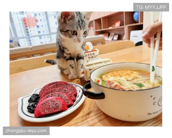 看到小威廉姆斯的早餐桌，我突然无法直视自己的泡面